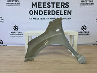 Suzuki Ignis (MF) Zijscherm Rechts Voor 57611M66R00