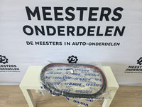 Volvo V90 Deurrubber NIEUW 31693620